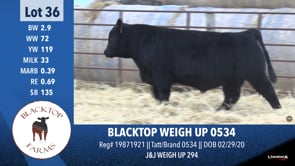 Lot #36 - BLACKTOP WEIGH UP 0534