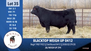 Lot #35 - BLACKTOP WEIGH UP 0412