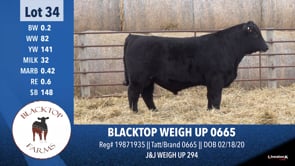 Lot #34 - BLACKTOP WEIGH UP 0665