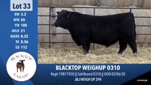 Lot #33 - BLACKTOP WEIGHUP 0310
