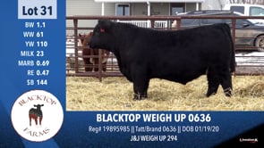 Lot #31 - BLACKTOP WEIGH UP 0636