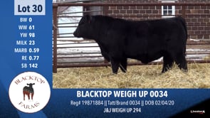 Lot #30 - BLACKTOP WEIGH UP 0034