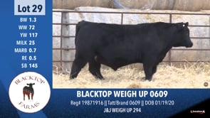 Lot #29 - BLACKTOP WEIGH UP 0609