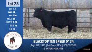 Lot #28 - BLACKTOP TEN SPEED 0134