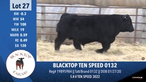 Lot #27 - BLACKTOP TEN SPEED 0132