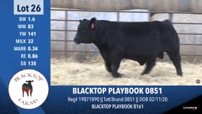 Lot #26 - BLACKTOP PLAYBOOK 0851