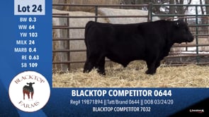 Lot #24 - BLACKTOP COMPETITOR 0644