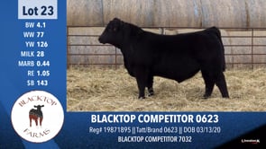Lot #23 - BLACKTOP COMPETITOR 0623