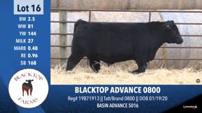 Lot #16 - BLACKTOP ADVANCE 0800