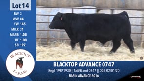 Lot #14 - BLACKTOP ADVANCE 0747