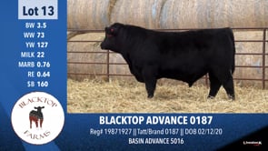 Lot #13 - BLACKTOP ADVANCE 0187