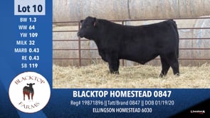 Lot #10 - BLACKTOP HOMESTEAD 0847