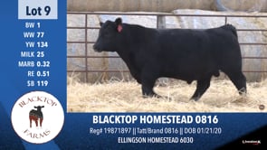Lot #9 - BLACKTOP HOMESTEAD 0816