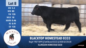 Lot #8 - BLACKTOP HOMESTEAD 0333