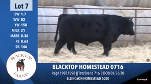 Lot #7 - BLACKTOP HOMESTEAD 0716
