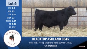 Lot #6 - BLACKTOP ASHLAND 0845