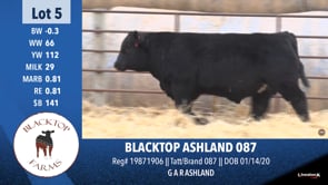 Lot #5 - BLACKTOP ASHLAND 087