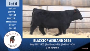 Lot #4 - BLACKTOP ASHLAND 0866