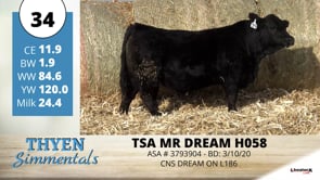 Lot #34 - TSA MR DREAM H058