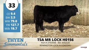 Lot #33 - TSA MR LOCK H0156