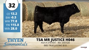 Lot #32 - TSA MR JUSTICE H046
