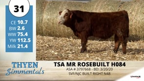 Lot #31 - TSA MR ROSEBUILT H084