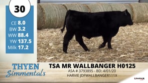 Lot #30 - TSA MR WALLBANGER H0125