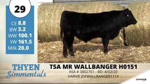 Lot #29 - TSA MR WALLBANGER H0151