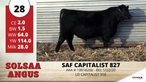 Lot #28 - SAF CAPITALIST 827