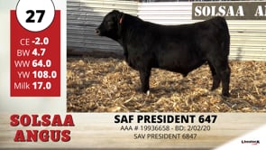 Lot #27 - SAF PRESIDENT 647