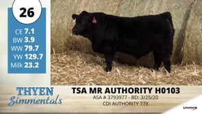 Lot #26 - TSA MR AUTHORITY H0103