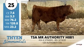 Lot #25 - TSA MR AUTHORITY H081