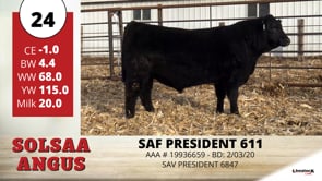 Lot #24 - SAF PRESIDET 611