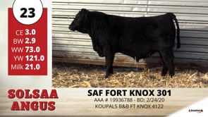 Lot #23 - SAF FORT KNOX 301
