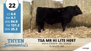Lot #22 - TSA MR HI LITE H097