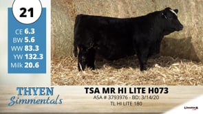 Lot #21 - TSA MR HI LITE H073