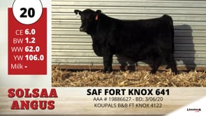 Lot #20 - SAF FORT KNOX 641