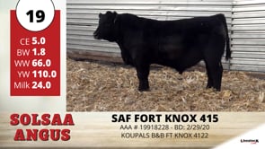 Lot #19 - SAF FORT KNOX 415