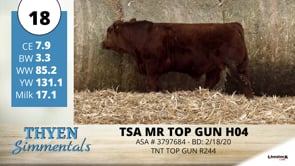 Lot #18 - TSA MR TOP GUN H04