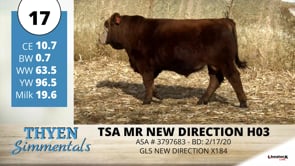 Lot #17 - TSA MR NEW DIRECTION H03