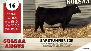 Lot #16 - SAF STUNNER 825