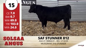 Lot #15 - SAF STUNNER 812
