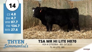 Lot #14 - TSA MR HI LITE H070