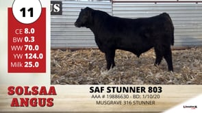 Lot #11 - SAF STUNNER 803
