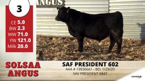 Lot #3 - SAF PRESIDENT 602