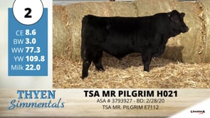 Lot #2 - TSA MR PILGRIM H021