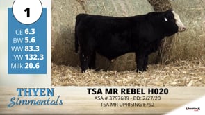 Lot #1 - **OUT** TSA MR REBEL H020