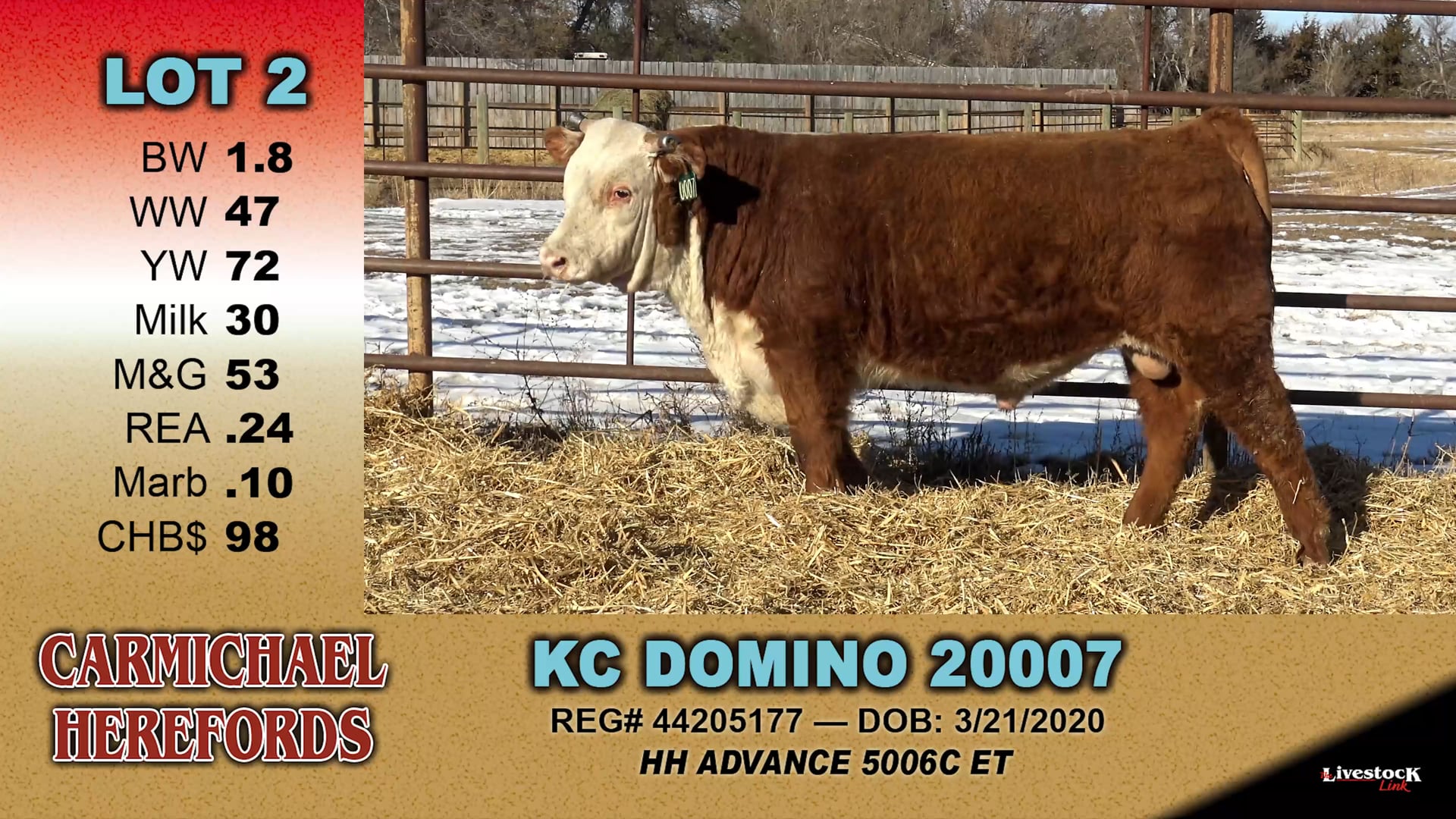 Carmichael Herefords - 2