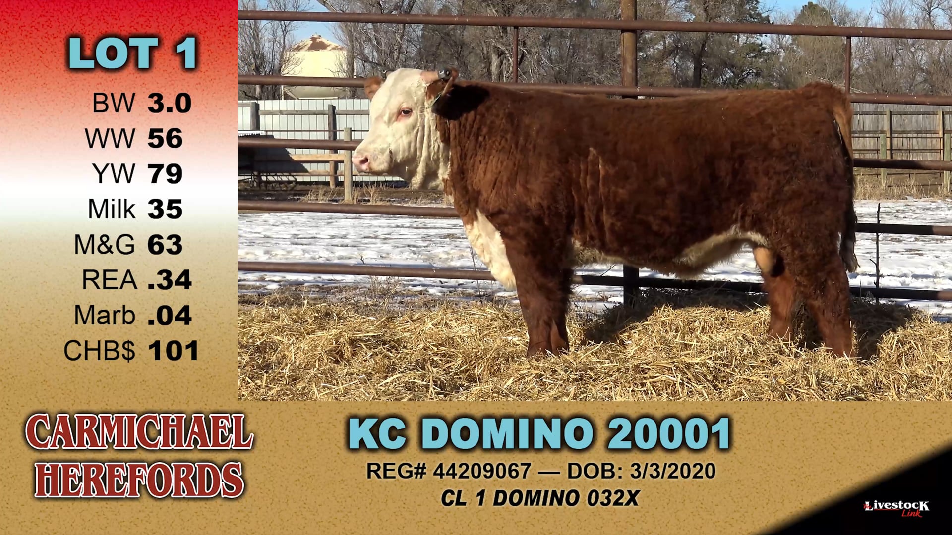 Carmichael Herefords - 1