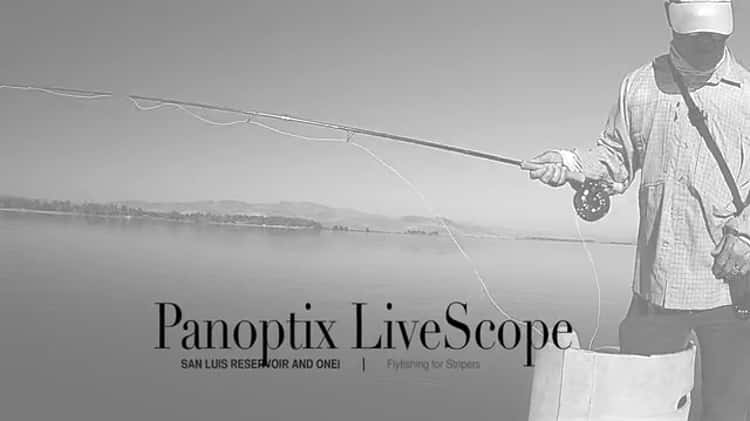 Garmin Panoptix LIVESCOPE - Flyfishing on San Luis Reservoir and O